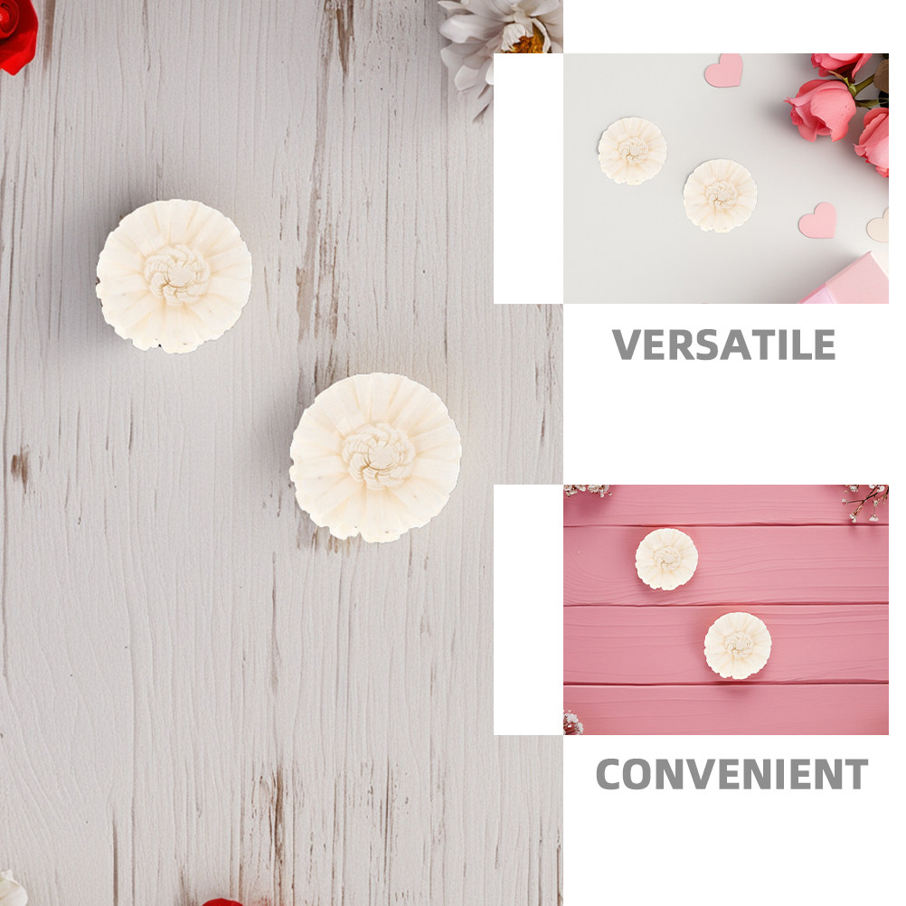 8 Stück flammenlose Chrysanthe – Home Fragrance Usa Bewertung und Preis