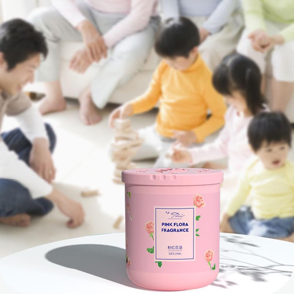 Lufterfrischer, natürliche Pfl – Home Fragrance Best Bewertung und Preis