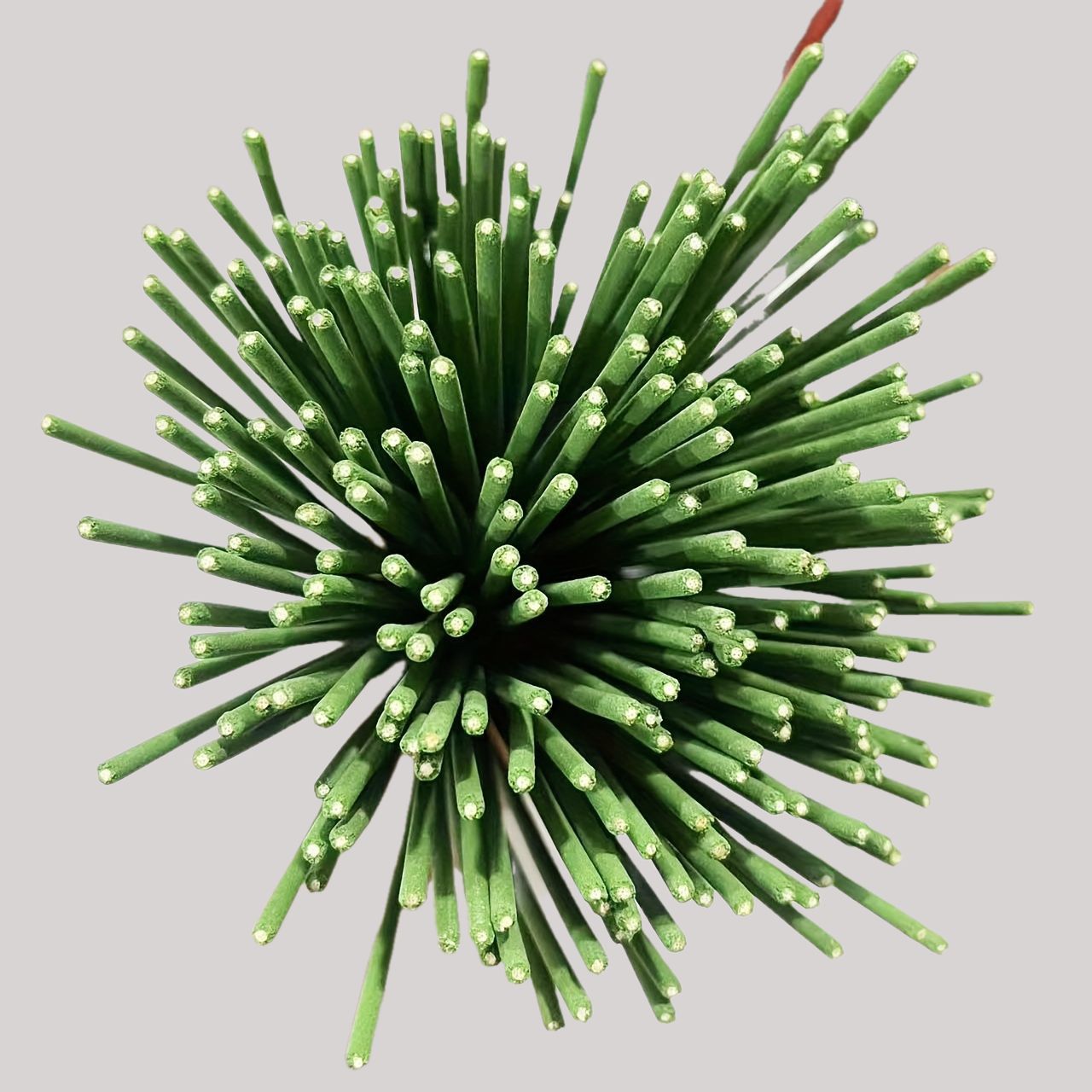 Reed Diffuser Sticks Zitroneng – Home Fragrance Best Bewertung und Preis